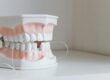 https://www.pexels.com/photo/close-up-shot-of-dentures-6502308/ A denture model.